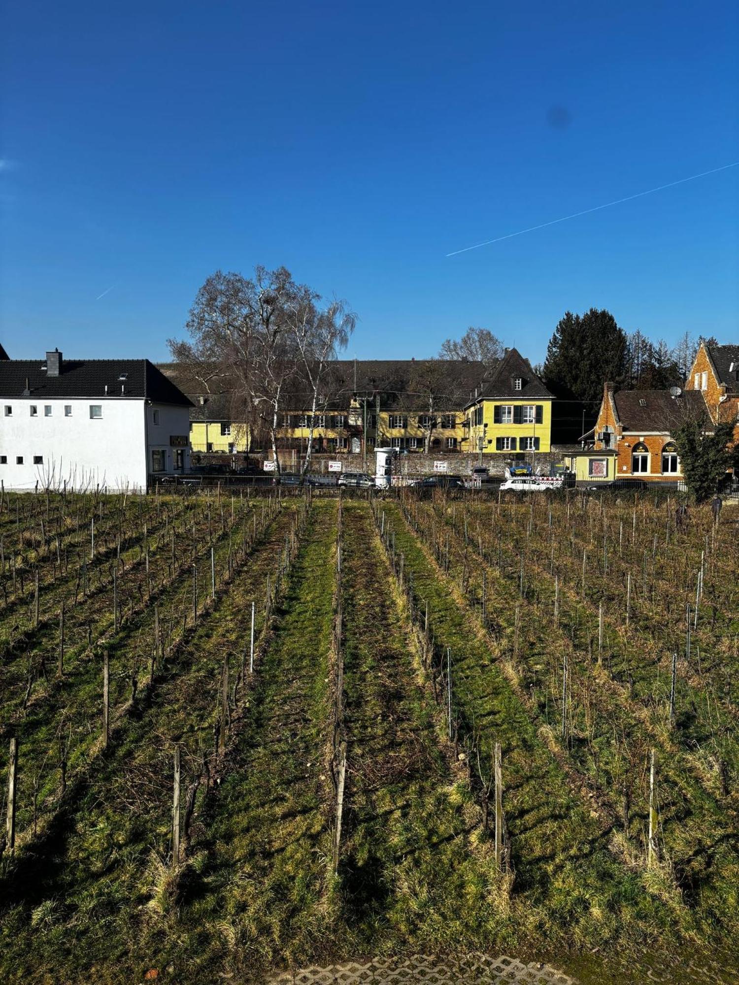 Schloss Schoenborn Geisenheim Exterior photo
